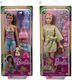 Barbie Wellness Set de păpuși pentru 3+ ani+ Ani (Diverse modele) 1 buc