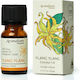 Φυσικό Αιθέριο Έλαιο Ylang Ylang Natural Essential Oil Euphoria 10ml