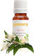 Myrtia Myrtus Essential Oil 30 Ml
