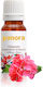 Geranium Or Pelargonium Aromatic Oil 100 Ml