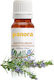 Rosemary Essential Oil 50 Ml