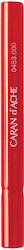 Caran D'ache Extension Pencil Hexagonal & Round Plastic 8.9cm Red Product Sold Individually Pieces Of One Caran D'ache Extension Pencil Hexagonal & Round Plastic 8.9cm Red Product Sold Individually Pieces Of One