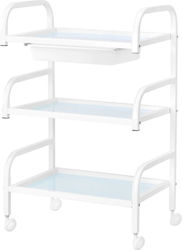 Beauty Roll Hair Salon Maintenance Cart