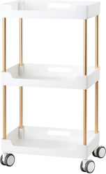 Beauty Roll Hair Salon Maintenance Cart