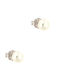 White Gold 14K Stud Earrings Pearl 5.5 Millimeters