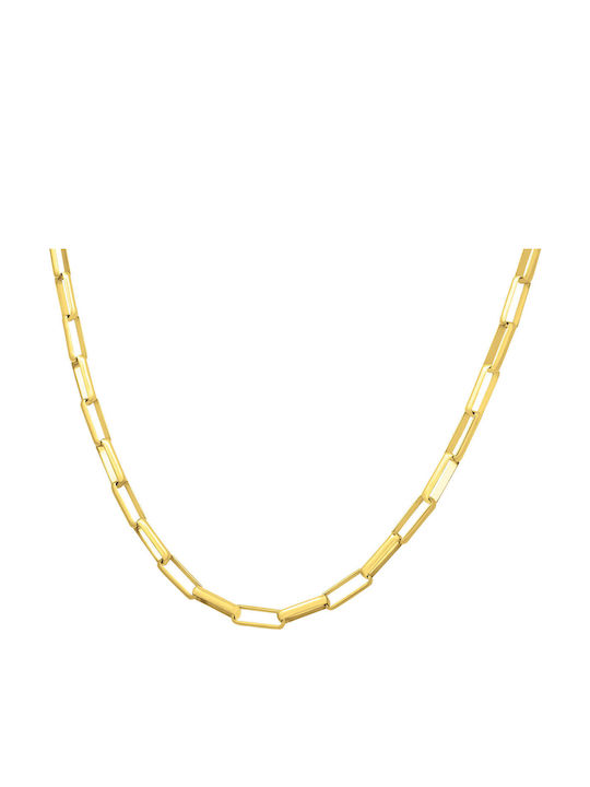 Apoline Chain Gold 5mm Αλυσίδα Λαιμού Ανοξείδωτο Ατσάλι 316l 55 Cm