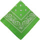 Bandana Cotton 100% 54x54cm Pastel Green