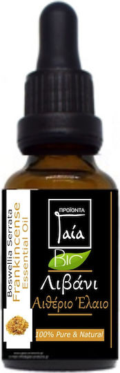 Gaia Organic Essential Oil Frankincense Serrata 50ml Dropper