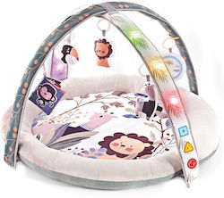 Bebe Stars Baby Gym with Music for Newborns Bebe Stars Baby Gym with Music for Newborns