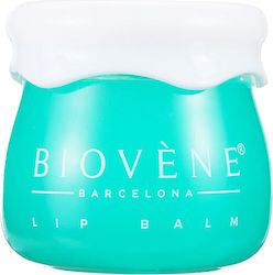 Biovene Lippenpflege Butter 8gr