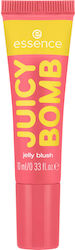 Essence Ruj Jelly 10ml