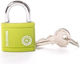 Blossom Padlock Brass with Key Green 1pcs