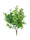 Buchet Eucaliptus 33cm Verde