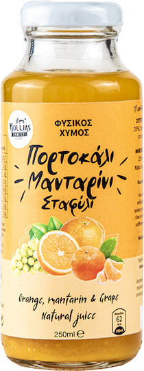 Orange Juice 250 Ml Sugar Free