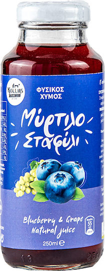 Myrtilo Saft 250 ml Zuckerfrei