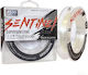 Πετονιά Asso Sentinel 0.31mm 300m