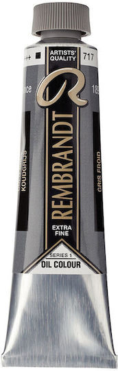 Royal Talens Rembrandt Oil Colour 717 Gold Grey 40ml