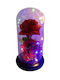 Eternal Roses Vase Abs Multicolor Led – Rgb Led Red 2 Roses 19x11cm