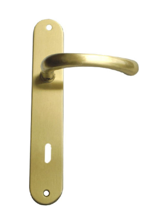 Door Lever Handle Plate 215 Gold Matte