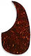 Acoustic Guitar Pickguard Tortoise