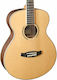 Tanglewood Dbtfhrlh Discovery Natürlicher Satin...