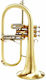 Adams F1 M Custom 050 170 Sl