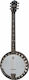 Deering Boston 6-String Banjo