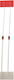 2 Τεμάχια Bat85 Schottky Barrier Diode Nexperia