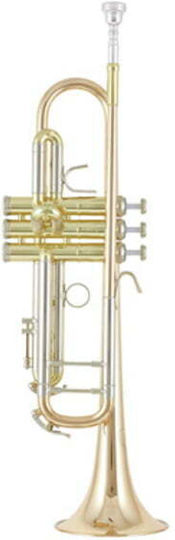 B&s 3137 G-l Challenger I Gm