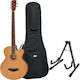 Harley Benton B-35nt Acoustic Bass Bundle