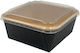 Disposable Box 50pcs Container