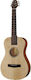 Journey Instruments Pj410n