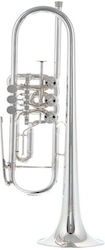 Peter Oberrauch Firenze Trumpet Bb 11,20 Sp