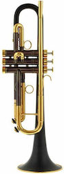 Dacarbo Toni Maier 139r Тромпет Bb