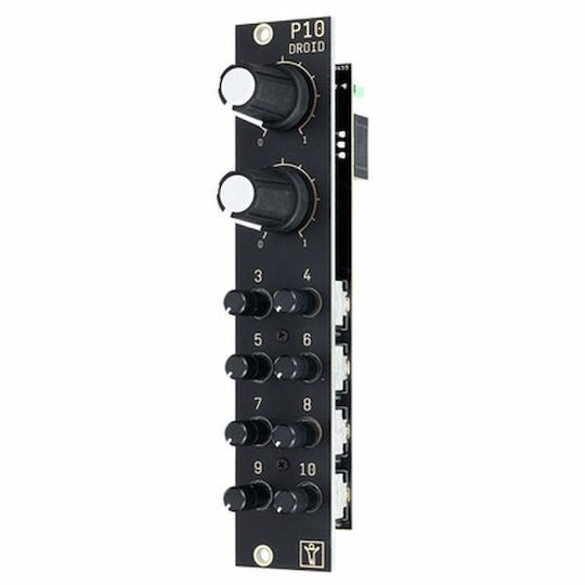 Der Mann mit der Maschine P10 Synthesizer-Module