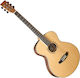 Tanglewood Dbtfhrlh Discovery Orchestra Folk Ak...