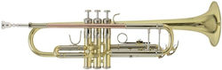 Bach Bβ-trumpet Tr501