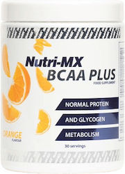 Starfoods Bcaa Plus 300gr Orange Starfoods Bcaa Plus 300gr Orange