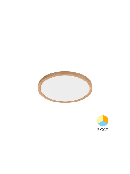 Braytron Jade Ceiling Mount Light 50cm