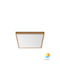 Braytron Jade Ceiling Mount Light 30cm
