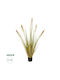 Arbore Artificial de Exterior Pampas Grass Beige 150cm GloboStar