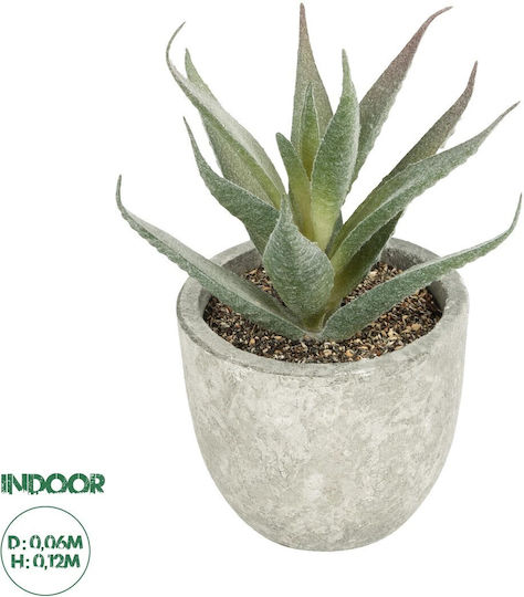 Künstliche Pflanze im Töpfchen Aloe Grün 12cm in Box GloboStar