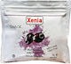 Xenia Pitless Kalamon Olives 50gr