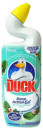 Duck Deep Action Cleaning Gel Toilet with Scent...