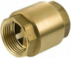 Non-return Valve 1'' Brass Spring