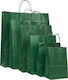 Paper Bag Cypress Twisted Premium 22x10x29 300pcs