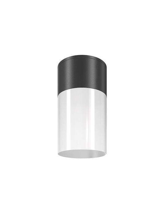 Willis H14 Aluminum Ceiling Light Maytoni O418cl-01b Black