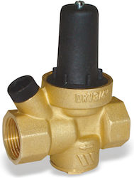 Μειωτής Πίεσης Μίνι 1/2" Drv E Watts