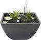 Small Square Lake Fountain Pond 75*75*35 Cm Velda