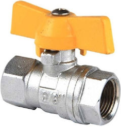Female Female Valve 1 Butterfly